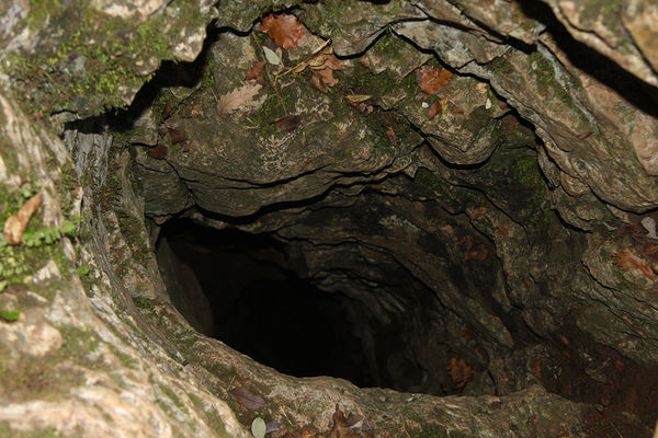 Clicca per vedere l'immagine alla massima grandezza