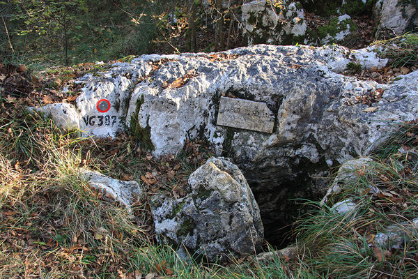 Clicca per vedere l'immagine alla massima grandezza