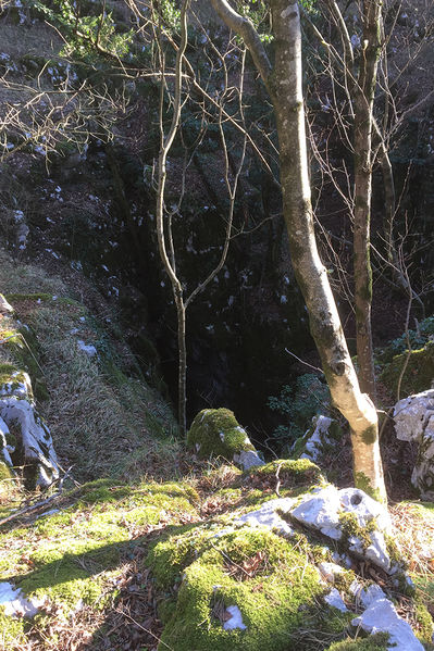 Clicca per vedere l'immagine alla massima grandezza