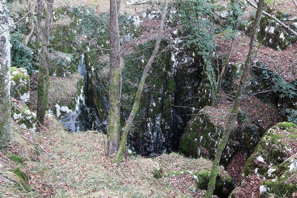 Clicca per vedere l'immagine alla massima grandezza