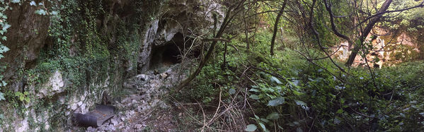 Clicca per vedere l'immagine alla massima grandezza