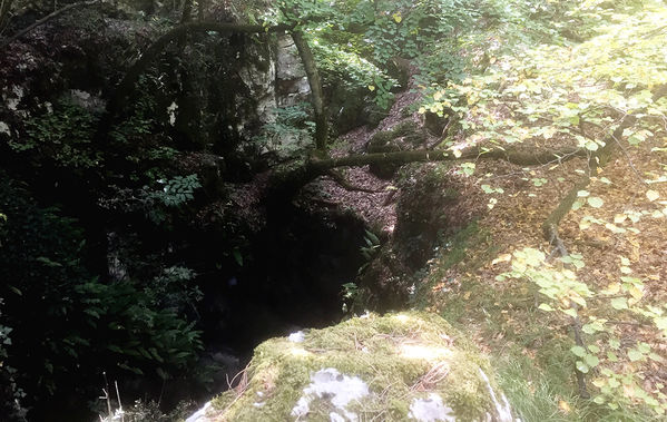 Clicca per vedere l'immagine alla massima grandezza