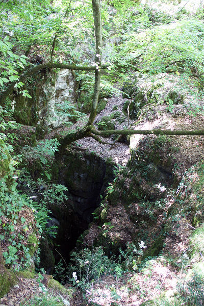 Clicca per vedere l'immagine alla massima grandezza