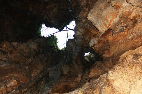 Clicca per vedere l'immagine alla massima grandezza