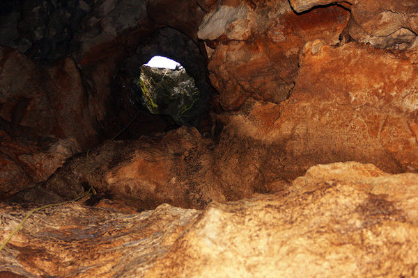 Clicca per vedere l'immagine alla massima grandezza