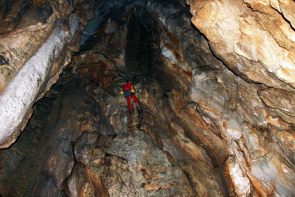 Clicca per vedere l'immagine alla massima grandezza