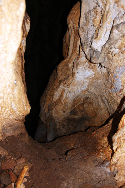 Clicca per vedere l'immagine alla massima grandezza