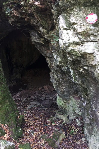 Clicca per vedere l'immagine alla massima grandezza