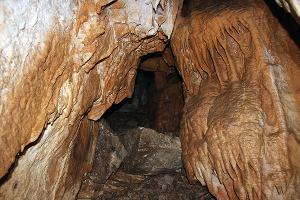 Clicca per vedere l'immagine alla massima grandezza