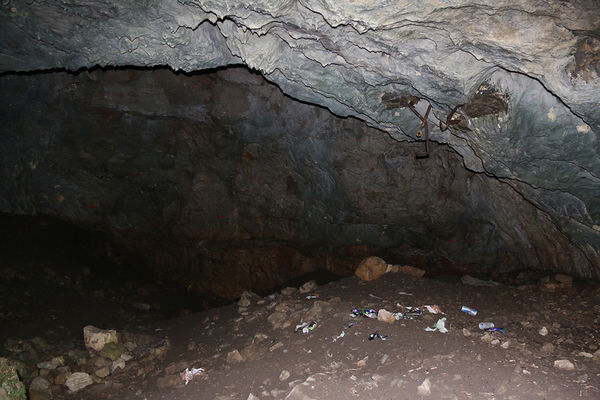 Clicca per vedere l'immagine alla massima grandezza