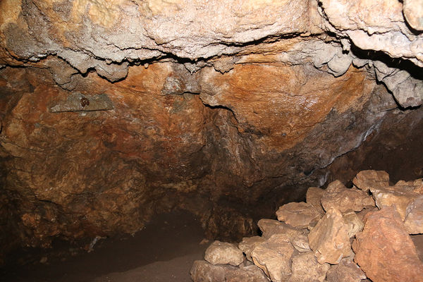 Clicca per vedere l'immagine alla massima grandezza