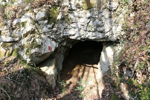 Clicca per vedere l'immagine alla massima grandezza