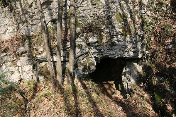 Clicca per vedere l'immagine alla massima grandezza