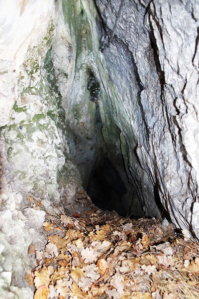 Clicca per vedere l'immagine alla massima grandezza