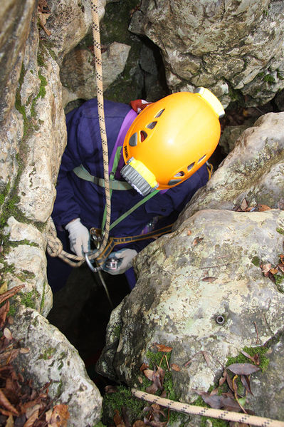 Clicca per vedere l'immagine alla massima grandezza