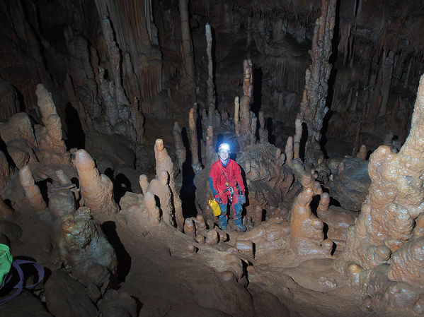 Clicca per vedere l'immagine alla massima grandezza