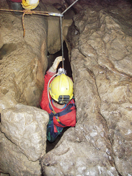 Clicca per vedere l'immagine alla massima grandezza