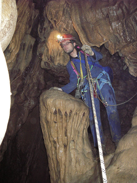 Clicca per vedere l'immagine alla massima grandezza