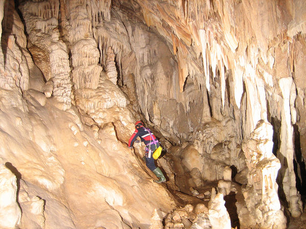 Clicca per vedere l'immagine alla massima grandezza