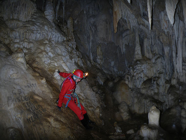 Clicca per vedere l'immagine alla massima grandezza