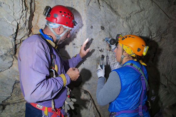 Clicca per vedere l'immagine alla massima grandezza