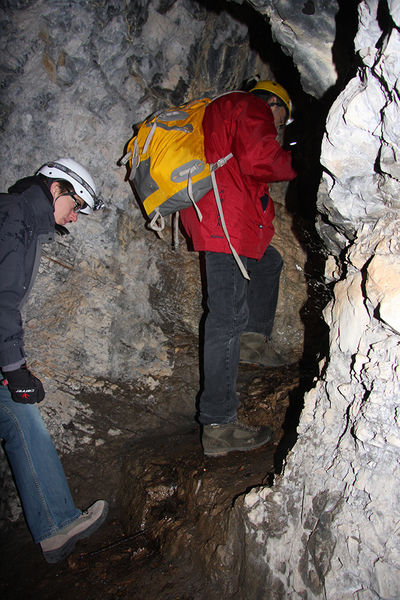 Clicca per vedere l'immagine alla massima grandezza