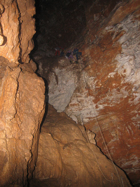 Clicca per vedere l'immagine alla massima grandezza