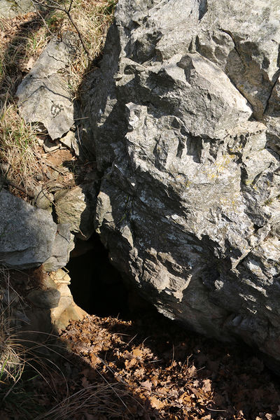 Clicca per vedere l'immagine alla massima grandezza