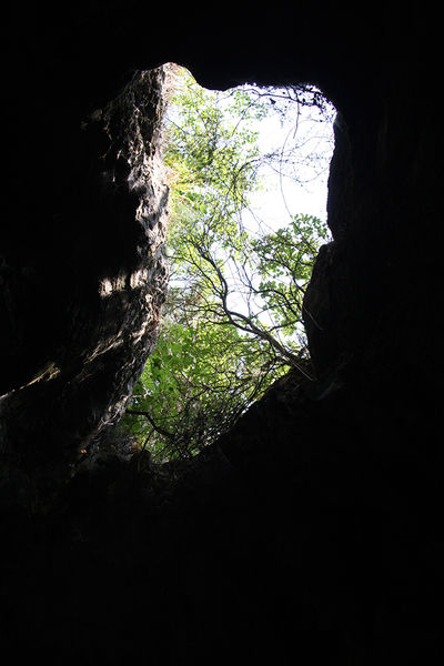 Clicca per vedere l'immagine alla massima grandezza