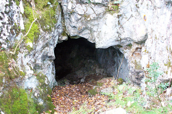 Clicca per vedere l'immagine alla massima grandezza