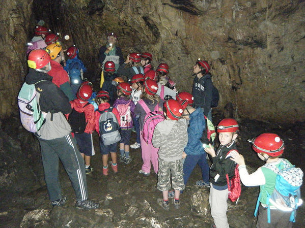 Clicca per vedere l'immagine alla massima grandezza