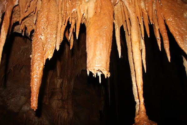 Clicca per vedere l'immagine alla massima grandezza