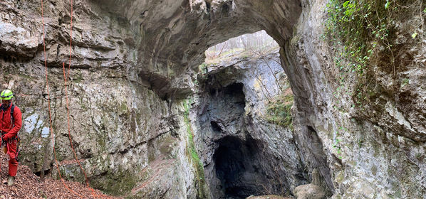 Clicca per vedere l'immagine alla massima grandezza