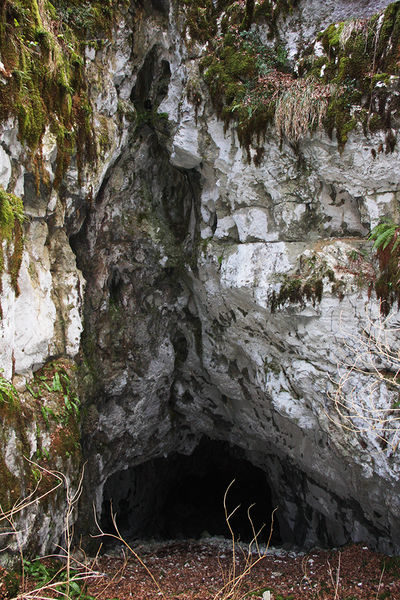 Clicca per vedere l'immagine alla massima grandezza