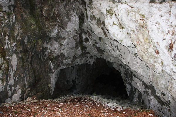 Clicca per vedere l'immagine alla massima grandezza