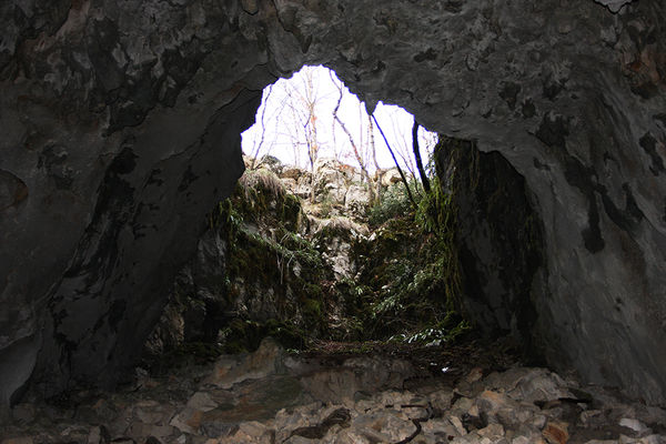 Clicca per vedere l'immagine alla massima grandezza