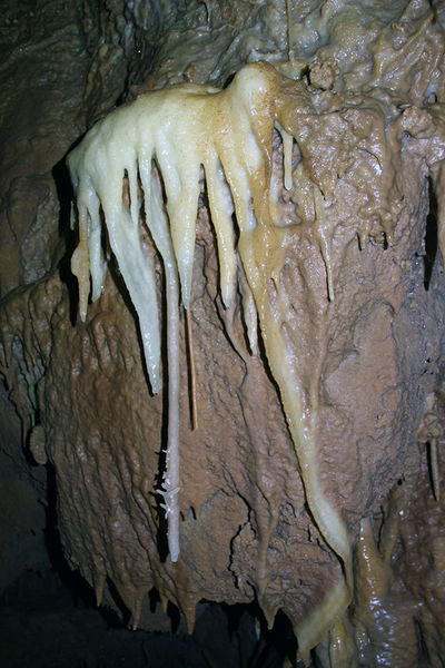 Clicca per vedere l'immagine alla massima grandezza