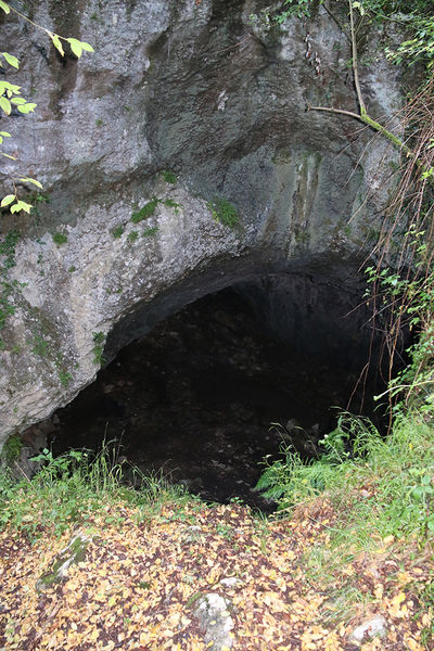 Clicca per vedere l'immagine alla massima grandezza