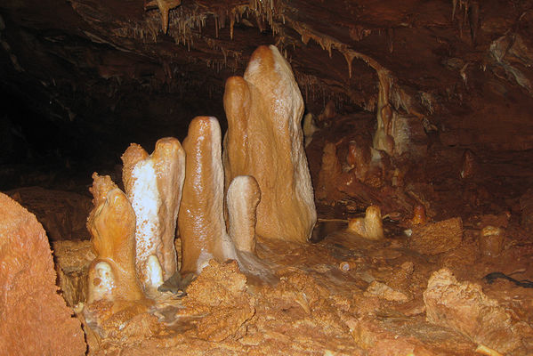 Clicca per vedere l'immagine alla massima grandezza