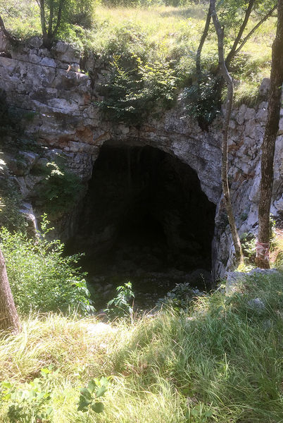 Clicca per vedere l'immagine alla massima grandezza