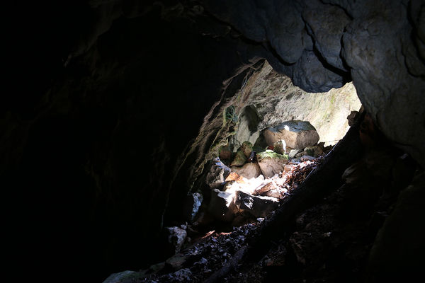 Clicca per vedere l'immagine alla massima grandezza