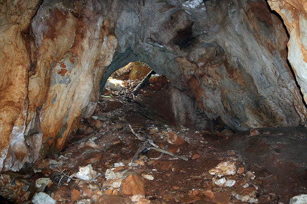 Clicca per vedere l'immagine alla massima grandezza