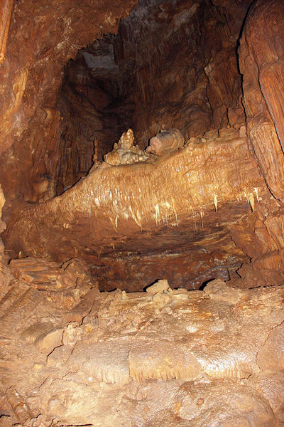 Clicca per vedere l'immagine alla massima grandezza