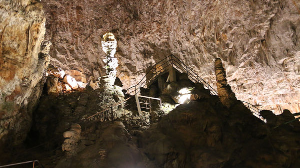 Clicca per vedere l'immagine alla massima grandezza