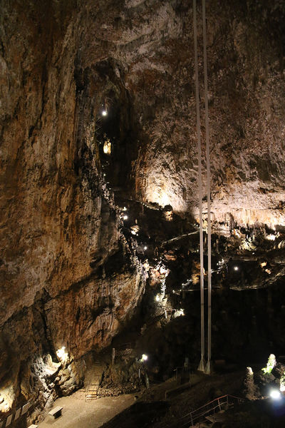 Clicca per vedere l'immagine alla massima grandezza