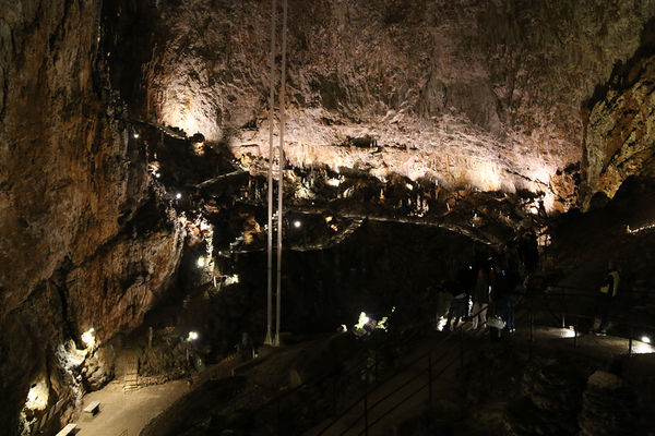 Clicca per vedere l'immagine alla massima grandezza