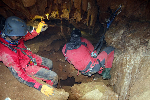 Clicca per vedere l'immagine alla massima grandezza