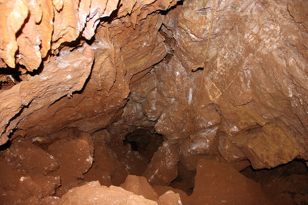 Clicca per vedere l'immagine alla massima grandezza