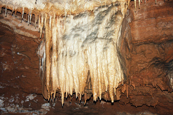 Clicca per vedere l'immagine alla massima grandezza