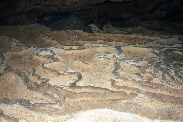 Clicca per vedere l'immagine alla massima grandezza